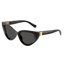 Dolce & Gabbana DG4497 501/87 Black Dark Grey napszemüveg napszemüveg