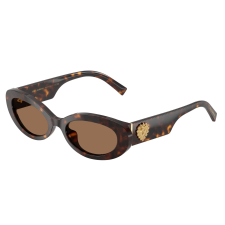 Dolce & Gabbana DG4537 502/73 Havana Dark Brown napszemüveg napszemüveg