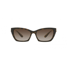 Dolce & Gabbana DG6155 502/13 napszemüveg