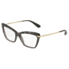 Dolce & Gabbana Dolce&Gabbana DG5025 504
