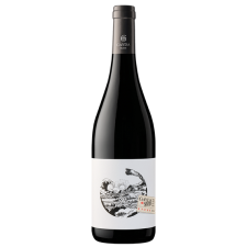 Domaine Gayda: Syrah 2022 száraz vörösbor (Languedoc, Franciaország) bor