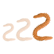 DoublePlayz Dupla Dildo Scolop L 60 x 5cm narancssárga műpénisz, dildó