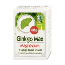  DR.CHEN GINKGO MAX MAGNÉZIUM KAPSZULA 60 db gyógyhatású készítmény