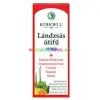 Dr. Chen Kohoflu Lándzsás útifű szirup 150 ml, bíbor kasvirág Echinacea, grapefruitmag kivonat, C-vitamin - Dr. Chen