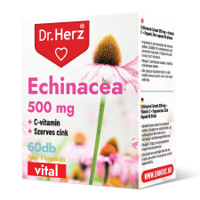  Dr.herz echinacea 500 mg+c-vitamin+szerves cink kapszula 60 db gyógyhatású készítmény