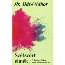 dr. Máté Gábor - Szétszórt elmék egyéb könyv