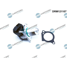 Dr.Motor AGR-szelep DR. MOTOR DRM121107 autóalkatrész