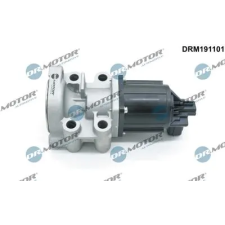 Dr.Motor Automotive AGR-szelep DRM191101 autóalkatrész