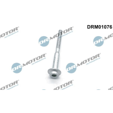 Dr.Motor Automotive Csavar, befecskendező fúvóka tartó Dr.Motor Automotive DRM01076 autóalkatrész