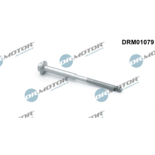 Dr.Motor Automotive Csavar, befecskendező fúvóka tartó Dr.Motor Automotive DRM01079 autóalkatrész