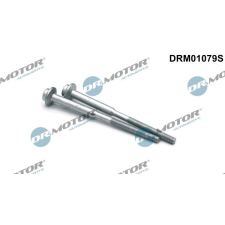 Dr.Motor Automotive Csavar, befecskendező fúvóka tartó Dr.Motor Automotive DRM01079S autóalkatrész
