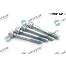 Dr.Motor Automotive Csavar, befecskendező fúvóka tartó Dr.Motor Automotive DRM01141S autóalkatrész