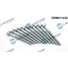 Dr.Motor Automotive Csavar, befecskendező fúvóka tartó Dr.Motor Automotive DRM01143S autóalkatrész