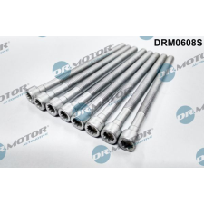 Dr.Motor Automotive Csavar, befecskendező fúvóka tartó Dr.Motor Automotive DRM0608S autóalkatrész