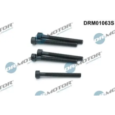 Dr.Motor Automotive Csavar, befecskendező fúvóka tartó DRM01063S autóalkatrész