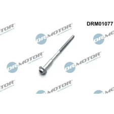 Dr.Motor Automotive Csavar, befecskendező fúvóka tartó DRM01077 autóalkatrész