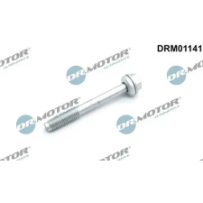 Dr.Motor Automotive Csavar, befecskendező fúvóka tartó DRM01141 autóalkatrész