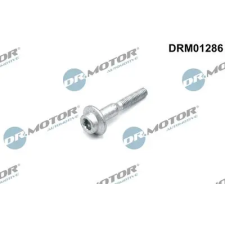 Dr.Motor Automotive Csavar, befecskendező fúvóka tartó DRM01286 autóalkatrész