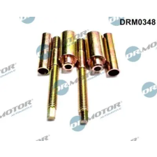 Dr.Motor Automotive Csavar, befecskendező fúvóka tartó DRM0348 autóalkatrész