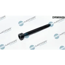 Dr.Motor Automotive Csavar, befecskendező fúvóka tartó DRM0609 autóalkatrész