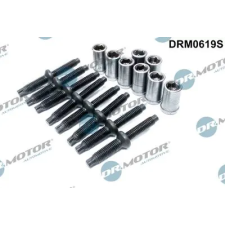 Dr.Motor Automotive Csavar, befecskendező fúvóka tartó DRM0619S autóalkatrész