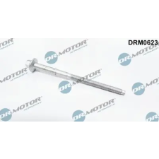 Dr.Motor Automotive Csavar, befecskendező fúvóka tartó DRM0623 autóalkatrész