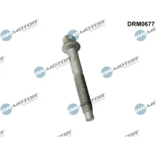 Dr.Motor Automotive Csavar, befecskendező fúvóka tartó DRM0677 autóalkatrész