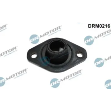 Dr.Motor Automotive Fedél, befecskendező DRM0216 autóalkatrész