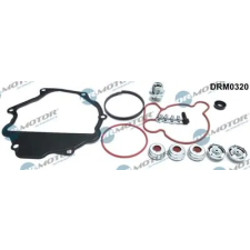 Dr.Motor Automotive Javítókészlet, vákuumszivattyú (fékrendszer) DRM0320 autóalkatrész