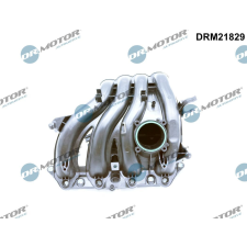 Dr.Motor Automotive szívócső modul Dr.Motor Automotive DRM21829 autóalkatrész