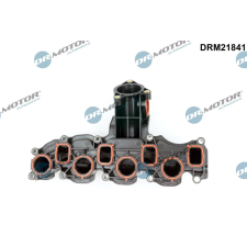 Dr.Motor Automotive szívócső modul Dr.Motor Automotive DRM21841 autóalkatrész
