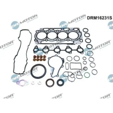 Dr.Motor Automotive teljes tömítéskészlet, motor DRM16231S autóalkatrész