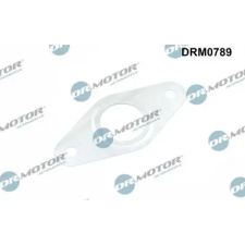 Dr.Motor Automotive Tömítés, kipuf.gáz visszavezető szelep DRM0789 autóalkatrész