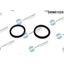 Dr.Motor Automotive Tömítés, melegítőperem-szívólevegő-előmelegítés DRM0152S autóalkatrész