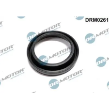Dr.Motor Automotive tömítés, porlasztócsúcs-tartó DRM0261 autóalkatrész