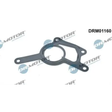 Dr.Motor Automotive tömítés, vákuumszivattyú DRM01160 autóalkatrész