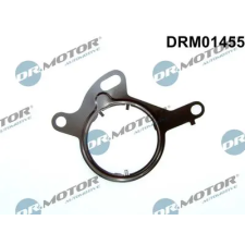 Dr.Motor Automotive tömítés, vákuumszivattyú DRM01455 autóalkatrész