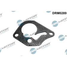 Dr.Motor Automotive tömítés, vákuumszivattyú DRM0289 autóalkatrész