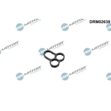 Dr.Motor Automotive Tömítő gyűrű, olajozó fúvóka (vezérműlánc) DRM02639 autóalkatrész