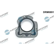 Dr.Motor Automotive tömítőgyűrű, főtengely DRM0891 autóalkatrész