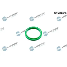 Dr.Motor Automotive Tömítőgyűrű, töltőlevegőcső DRM02668 autóalkatrész