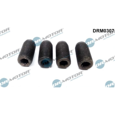 Dr.Motor Beszabályzó csavar, befecskendező szivattyú DR. MOTOR DRM0307 autóalkatrész