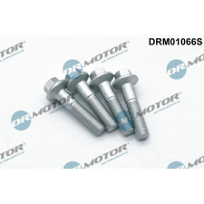 Dr.Motor Csavar, befecskendező fúvóka tartó DR. MOTOR DRM01066S autóalkatrész