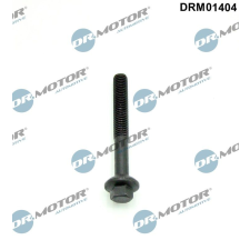 Dr.Motor Csavar, befecskendező fúvóka tartó DR. MOTOR DRM01404 autóalkatrész