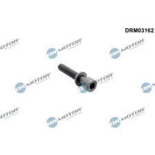 Dr.Motor Csavar, befecskendező fúvóka tartó DR. MOTOR DRM03162 autóalkatrész