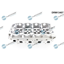 Dr.Motor hengerfej DR. MOTOR DRM13407 autóalkatrész