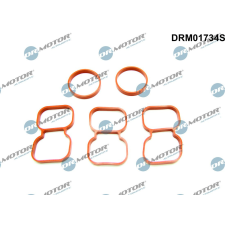 Dr.Motor tömítés, hengerfej DR. MOTOR DRM01734S autóalkatrész