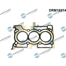 Dr.Motor tömítés, hengerfej DR. MOTOR DRM18214 autóalkatrész