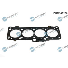 Dr.Motor tömítés, hengerfej DR. MOTOR DRM300200 autóalkatrész
