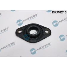Dr.Motor tömítés, porlasztócsúcs-tartó DR. MOTOR DRM0215 autóalkatrész